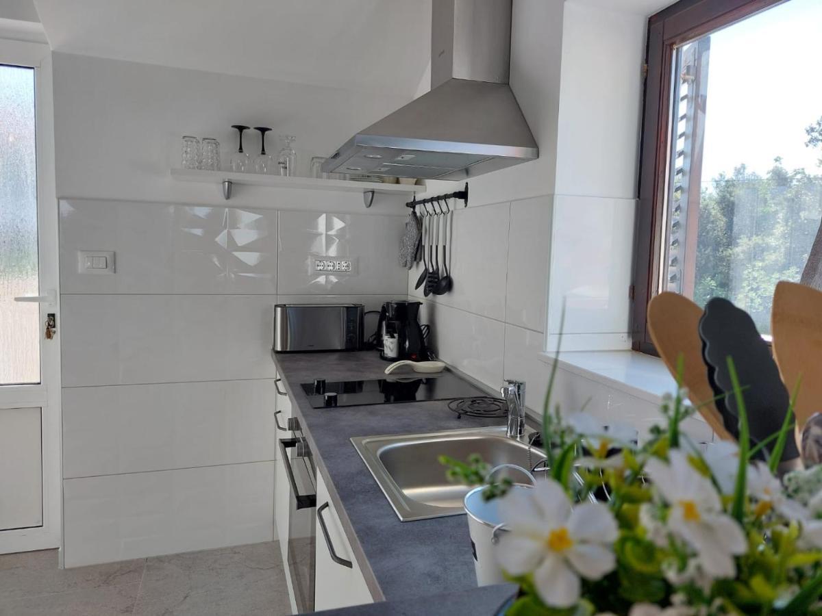 Apartments Lavanda - Free Parking And Grill يزيرا المظهر الخارجي الصورة